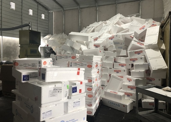 Abfall von nassen Fischboxen