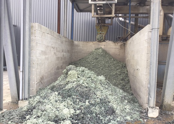 Behandlung von organischen Abfällen