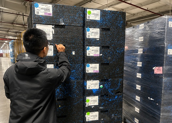 EPP-Verpackungen für Autoteile