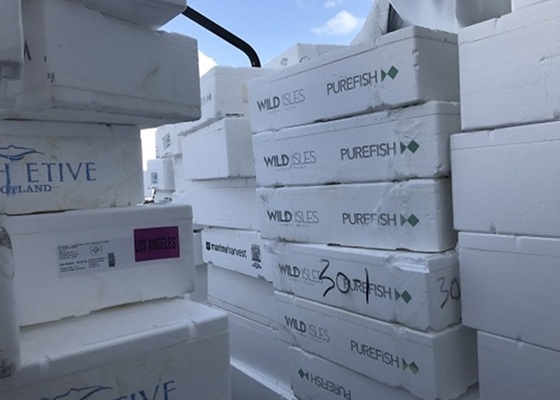 Nasse EPS-Fischboxen